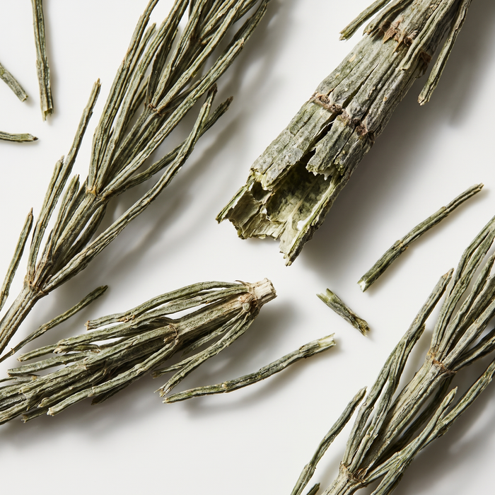 Horsetail Silica